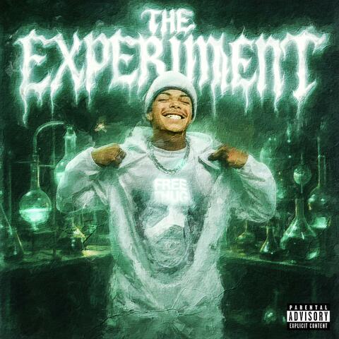 THE EXPERIMENT