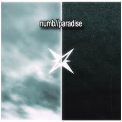 numb//paradise