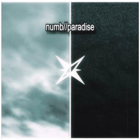numb//paradise