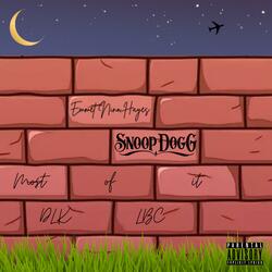 Most Of It (feat. Snoop Dogg)