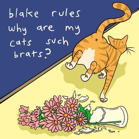 Why Are My Cats Such Brats?