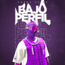 Bajo perfil