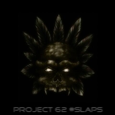Project 62
