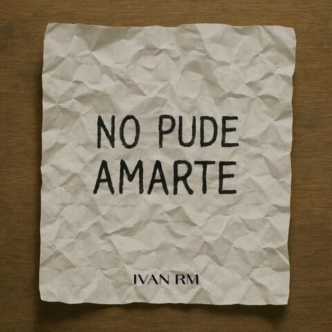 No Pude Amarte