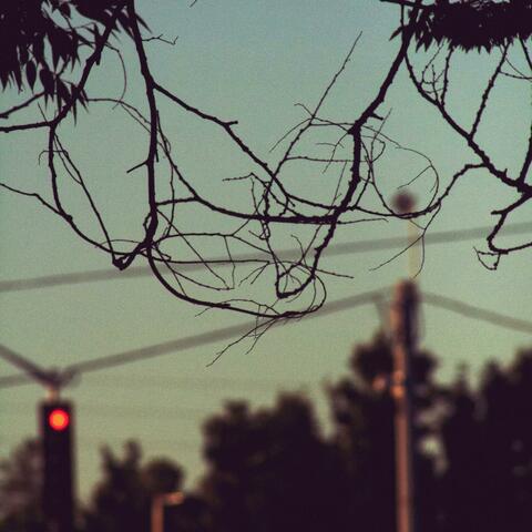 Interludes
