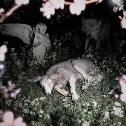 slowly dying under the moonlight