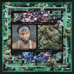 Bong Rips and Acid Trips