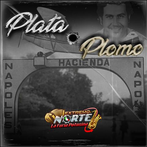 Plata O Plomo