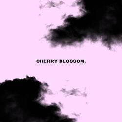 cherry blossom