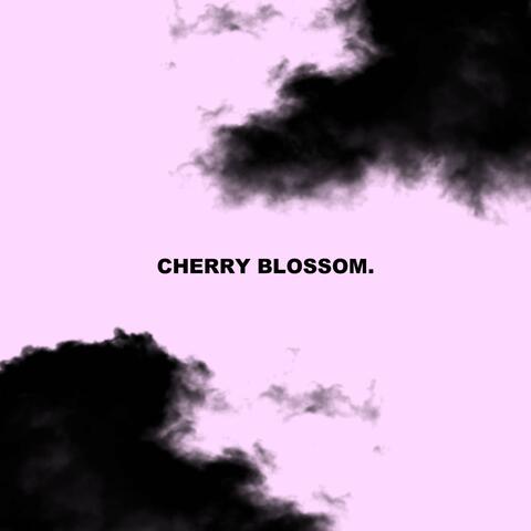 cherry blossom