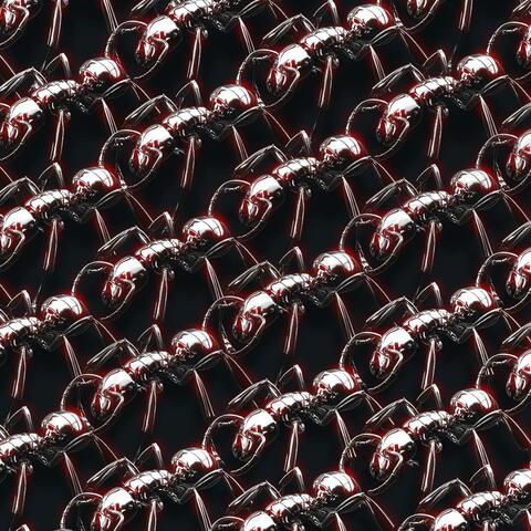 The Supreme Ant