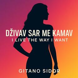 Dživav Sar Me Kamav “I Live the Way I Want”