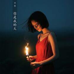 你是我的火