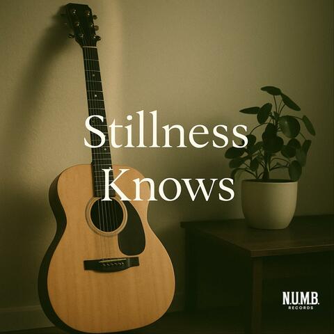 Stillness Knows