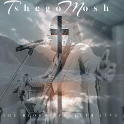 At the cross (feat. Tebogo Baloyi)