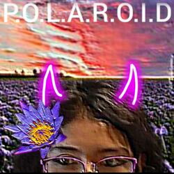 Un ciclo que no tiene un fin