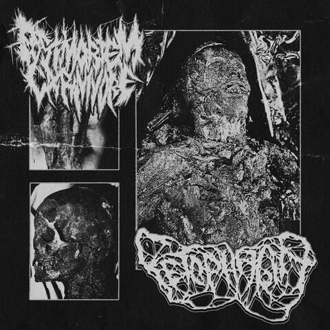 Split w/ Fetophagia
