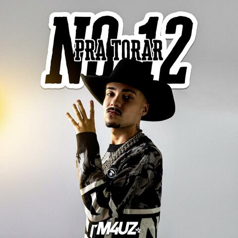 Pra Torar No 12: O Melhor do Modão Remix