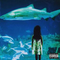 SHARK TANK   (LOKO MIXX BEAT BY TRAVIS XANTANA)