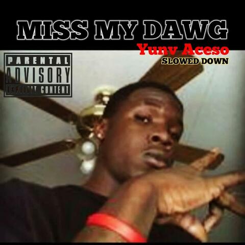 Miss My Dawg (SLOWED DOWN) (feat Mr Nicewordz)