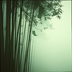 Spirit of Qu Yuan Meditation Calm Song (Radio Edit)