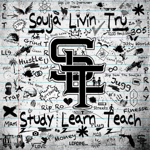 Study Learn Teach