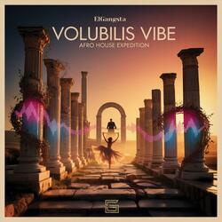 Volubilis Vibe (Afro House Expedition)