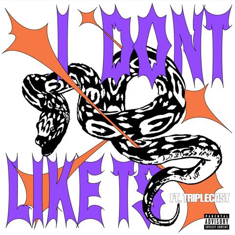 I Don't Like TS