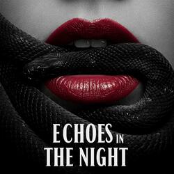 Echoes in the night