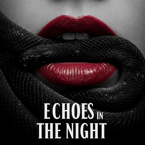 Echoes in the night