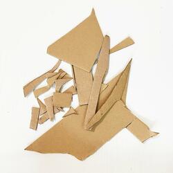 Dinosaur Shadow Show