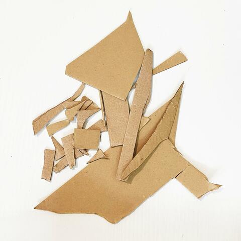 Dinosaur Shadow Show