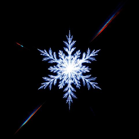 POLAR