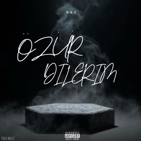 Özür Dilerim