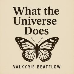 What The Universe Does