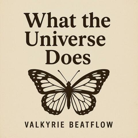 What The Universe Does