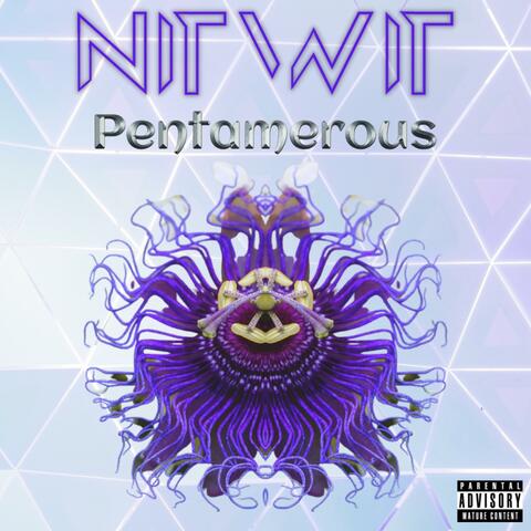 Pentamerous