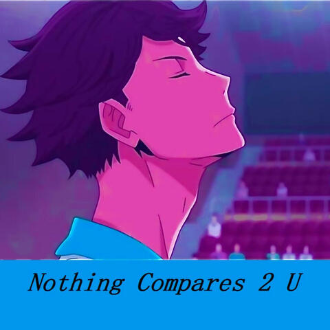 Nothing Compares 2 U!