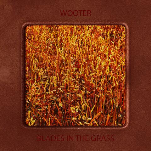 Blades in the Grass