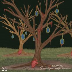 GÉNÉALOGIE SANG RACINES