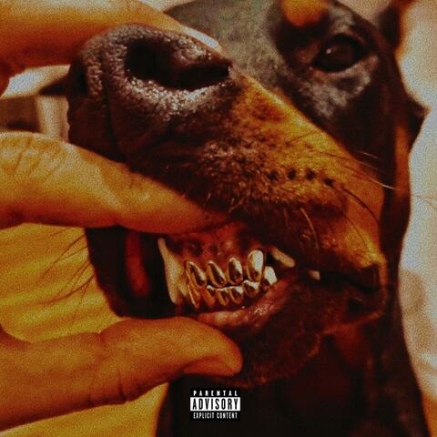 Wi$e