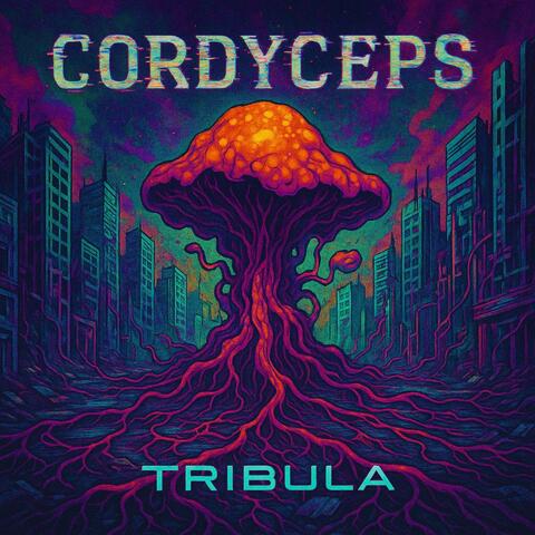 Cordyceps