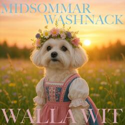 Midsommar Washnack