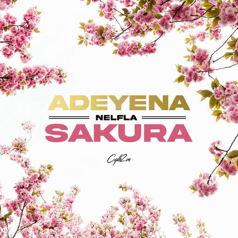 ✿Adeyena&Sakura❀