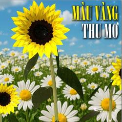 MÀU VÀNG THU MƠ (feat. Lil Done)