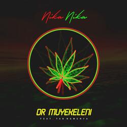 Nika Nika (feat. TSB Ngwenya)