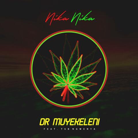 Nika Nika (feat. TSB Ngwenya)