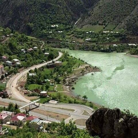 Karıncayı üzeriz
