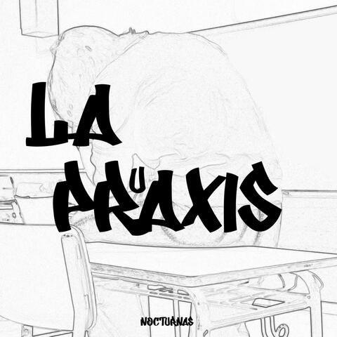 LA PRuAXIS (feat. cab500)