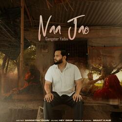 Naa Jao (feat. Beant Kaur & Hey Drop)